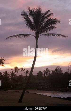 28. Mai 2006; Kauai, HI, Vereinigte Staaten; Sunrise und Palme am Poipu Beach auf der hawaiianischen Insel Kauai. Obligatorische Credit: Foto von Marianna Day Massey/ZUMA Press. (©) Copyright 2006 von Marianna Tag Massey Stockfoto