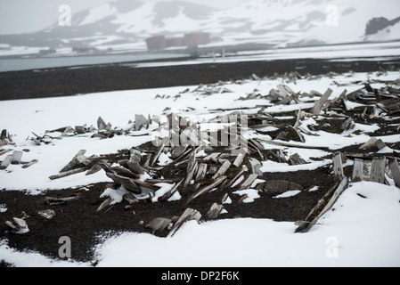 Antarktis - Wellen aus Holz am Strand liegen teilweise im Schnee unter den Ruinen der ehemaligen Walfangstation an Whalers Bay auf Deception Island abgedeckt. Deception Island, in der South Shetland Inseln, ist eine Caldera des Vulkans und besteht aus vulkanischem Gestein. Stockfoto