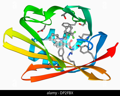 Fettsäure-bindendes Protein und inhibitor Stockfoto