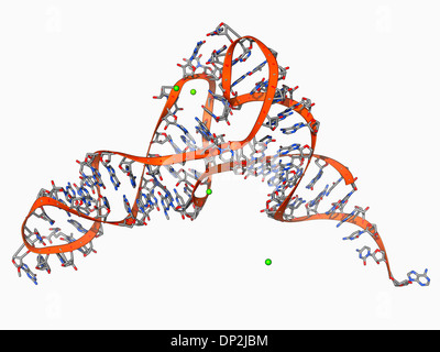 tRNA-Molekül Stockfoto