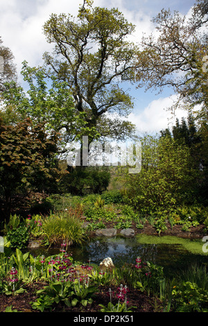 KLEINE GARTEN-TEICH IN EINEN ENGLISCHEN LANDSCHAFTSGARTEN. Stockfoto