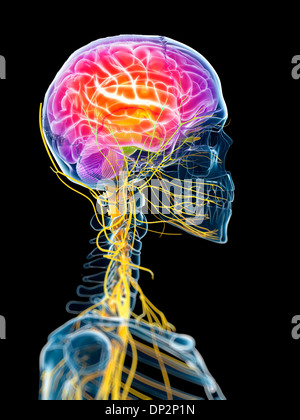 Aktive Gehirn, artwork Stockfoto