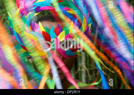 Karneval in Rio Szene Funktionen brasilianischen Mann mit bunten Maske durch winken Luftschlangen Stockfoto