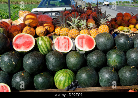 Tropische Früchte auf Verkauf von Straßenkontrollen, Mauritius. Stockfoto