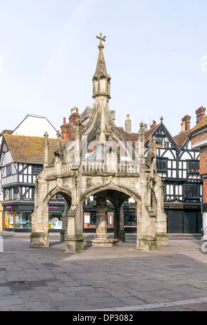 Geflügel zu überqueren Salisbury Wiltshire UK Stockfoto