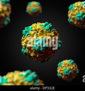 Reis gelb Mottle Virus, artwork Stockfoto