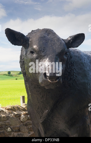 Statue eines Aberdeen Angus Bullen am Eingang der Stadt Alford, Aberdeenshire, Schottland. Stockfoto