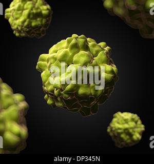 Tabak Ringspot Virus, artwork Stockfoto