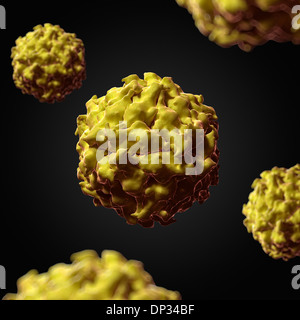 Satelliten-Panicum-Mosaik-Virus, artwork Stockfoto