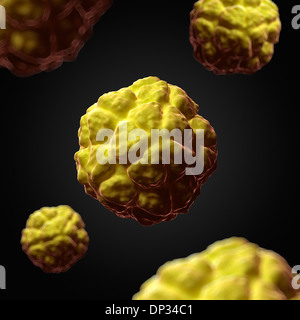 Sat-Tabak Nekrose Virus, artwork Stockfoto