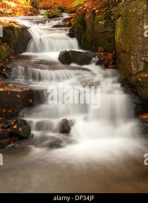 Herbst im Lumsdale fällt, Tansley im Peak District England Großbritannien Stockfoto