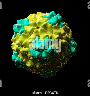 Reis gelb Mottle Virus, artwork Stockfoto