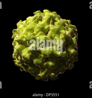 Satelliten-Panicum-Mosaik-Virus, artwork Stockfoto