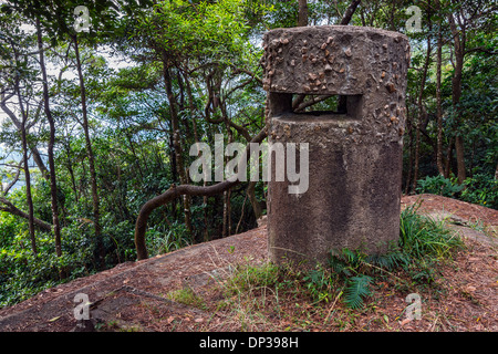 Pillbox JLO1 und Periskop, Wong Nai Chung Gap, Hong Kong Stockfoto