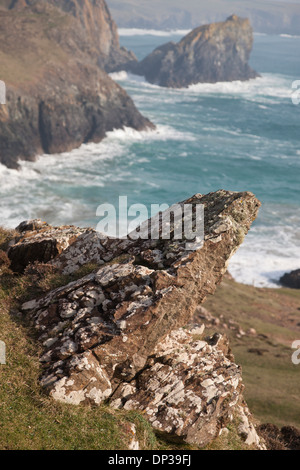 Felsen auf den Klippen oberhalb Kynance Cove, Lizard Point, Cornwall, England Stockfoto