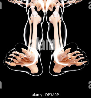 Menschliches Beinknochen, artwork Stockfoto