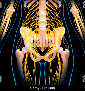 Menschlichen Nervensystem, artwork Stockfoto