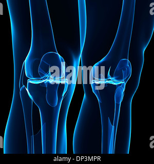 Menschliches Beinknochen, artwork Stockfoto