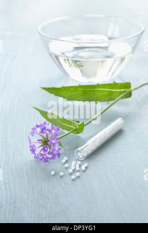 Stillleben mit Bach-Blüten (Vervain) Fläschchen Globuli und Schüssel mit Wasser, Deutschland Stockfoto