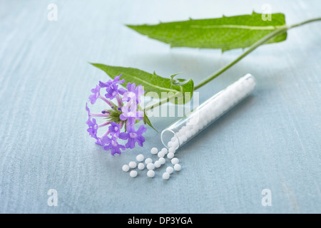 Stillleben mit Bach-Blüten (Vervain) und Fläschchen Globuli, Deutschland Stockfoto