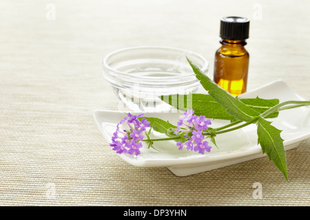 Stillleben mit Bach-Blüten (Vervain), Medizinfläschchen und Schüssel mit Wasser, Deutschland Stockfoto