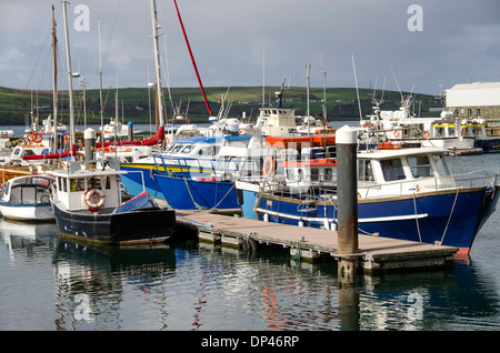 Dingle Harbour Angelboote/Fischerboote, Dingle Town, Countyu Kerry, Irland Stockfoto