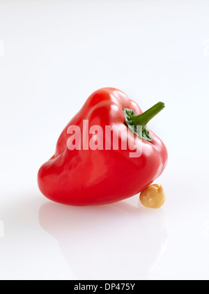 Frische Paprika, stützte sich auf gekochte Kichererbsen, weißer Hintergrund, Studioaufnahme Stockfoto