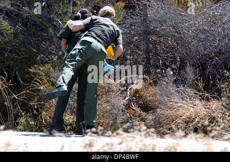 5. August 2006; San Bernardino, Kalifornien, USA; Detektive mit dem San Bernardino county Sheriff Department untersuchen die menschliche Überreste gefunden entlang Cajon Blvd. in der Nähe von San Bernardino, Kalifornien, auf Samstag, 5. August 2006.  Der Körper wird geglaubt, um Charles Ray Hedlund zu sein, die vor drei Tagen vermisst gemeldet wurde.  Der Verdächtige, John Wayne Thompson, wurde mit der Ermordung von Charles He angeklagt Stockfoto