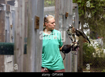 31. August 2006; West Palm Beach, FL, USA; Okeeheelee Nature Center Naturforscher Karen Lindquist führt Sir Galahad, ein rot - angebundener Falke, zurück in seine Stallungen oder Lebensraum. Sir Galahad und der Mitte der anderen Raubvögeln verbrachte Dienstagmorgen bis Donnerstag Nachmittag im Center zum Schutz vor Ernesto.  Obligatorische Credit: Foto von Taylor Jones/Palm Beach Post/ZUMA Press. (©) Copyri Stockfoto