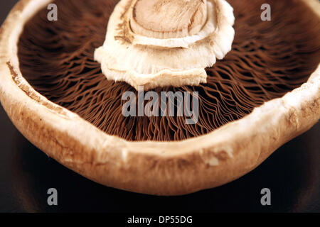 Sep 03, 2006; Los Angeles, Kalifornien, USA; Portobello-Pilze (manchmal Portobella) ist eine große braune Sorte von den gleichen Knopf Pilz Pilz, Links zu Reifen und nehmen eine breitere, offenere Form vor der Kommissionierung. Portobello-Pilze zeichnen sich aufgrund ihrer Größe, dicke Mütze und Stiel und einen unverwechselbaren moschusartigen Geruch. Wegen ihrer Größe und die Dicke der ihren fleischigen Kappen Stockfoto