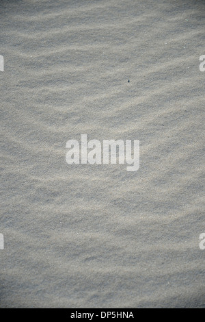 Eine konzeptionelle Strand Bild mit sortierten Strandzubehör Stockfoto