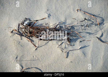 Eine konzeptionelle Strand Bild mit sortierten Strandzubehör Stockfoto