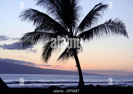 Sep 18, 2006; Maui, HI, Vereinigte Staaten; Die Insel Maui im Pazifik ist die zweitgrößte der Hawaii-Inseln an 727 Quadrat-Meilen.  West Maui ist mit weitläufigen Stränden und Hotels der gehobenen Klasse der Ka'anapali und der historische Walfang Lahaina, eines der wichtigsten Erholungsgebiete Mauis.  Im Bild: Sonnenuntergang Mal in Oluwalu-Plantage. Obligatorische Credit: Foto von Camilla Zenz/ZUMA Press. (©) C Stockfoto