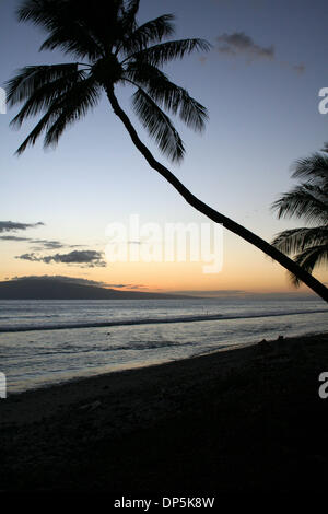 Sep 18, 2006; Maui, HI, Vereinigte Staaten; Die Insel Maui im Pazifik ist die zweitgrößte der Hawaii-Inseln an 727 Quadrat-Meilen.  West Maui ist mit weitläufigen Stränden und Hotels der gehobenen Klasse der Ka'anapali und der historische Walfang Lahaina, eines der wichtigsten Erholungsgebiete Mauis.  Im Bild: Sonnenuntergang Mal in Oluwalu-Plantage. Obligatorische Credit: Foto von Camilla Zenz/ZUMA Press. (©) C Stockfoto