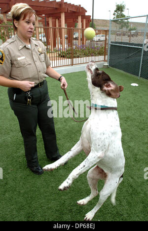 9. Oktober 2006; Carlsbad, Kalifornien, USA; Die Grafschaft von San Diego Department of Animal Services hat ein neues Programm, wo Senioren senior Haustiere kostenlos übernehmen können. TIFFANY SHIELDS spielte fangen mit "MISSY", ein 8 Jahre altes Zeiger. Ihr Tier-ID-Nummer ist A11144678.     Obligatorische Credit: Foto von Don Kohlbauer/SDU-T/ZUMA Press. (©) Copyright 2006 by SDU-T Stockfoto