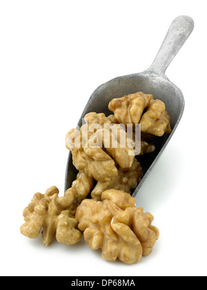 Walnusshälften in einer Kugel Stockfoto