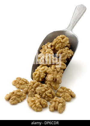 Walnüsse in einer Kugel Stockfoto