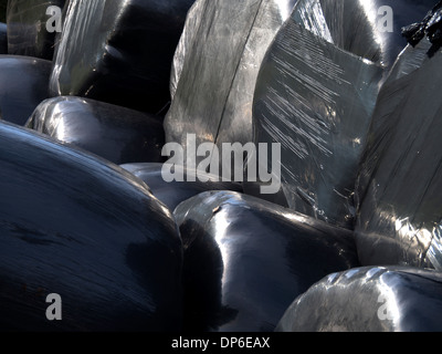 schwarzer Kunststoff abgedeckt Heuballen in Derbyshire Peak District uk Stockfoto