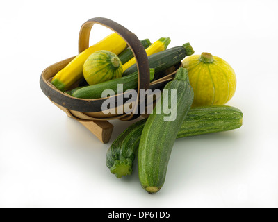 Zucchini Stockfoto