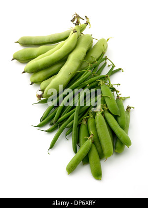 Erbsen und Bohnen Stockfoto