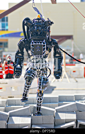 Ian, ein Atlas-Roboter mit dem IHMC Robotik-Team während der DARPA Rescue Robot Showdown auf dem Homestead-Miami Speedway 20. Dezember 2013 in Homestead, FL. Die DARPA-Veranstaltung soll Teams Roboter zu entwerfen, die humanitäre Hilfe, Katastrophenhilfe und damit verbundene Geschäfte durchführen wird herausfordern. Stockfoto