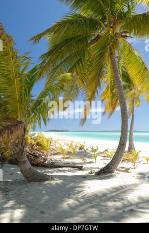 Tapuaetai Motu in Aitutaki Lagune, Cook-Inseln Stockfoto