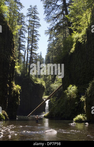 22. November 2006; Eagle Creek, OR, USA; Ein kleiner Junge watet in den Bach in der Nähe von Bowle fällt entlang der Eagle Creek Trail in der Columbia River Gorge National Scenic Area. Obligatorische Credit: Foto von Richard Clement/ZUMA Press. (©) Copyright 2006 von Richard Clement Stockfoto