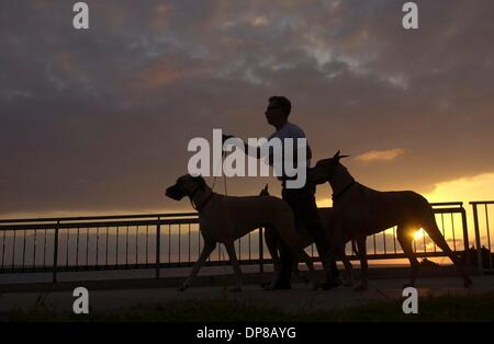(Veröffentlicht 01.10.2004, b-3:1) SCOTT SHUFORD, der Leucadia, geht seine drei großen Doggen bei Sonnenuntergang auf dem Strandspaziergang über Tamarack Strand.  U/T Foto CHARLIE NEUMAN Stockfoto