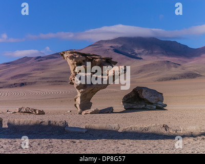 Stein-Baum als es ist bekannt, Árbol de Piedra in spanischer Sprache, befindet sich in einer abgelegenen Gegend von Bolivien nahe der Grenze zu Chile. Stockfoto