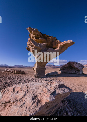 Stein-Baum als es ist bekannt, Árbol de Piedra in spanischer Sprache, befindet sich in einer abgelegenen Gegend von Bolivien nahe der Grenze zu Chile. Stockfoto