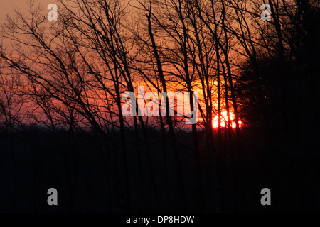 Orange Sonne spähen durch den Wald bei Sonnenuntergang am See Cumberland, Kentucky Stockfoto