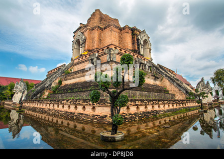 Alten Pagode am Wat Chedi Luang Tempel in Chiang Mai, Thailand Stockfoto
