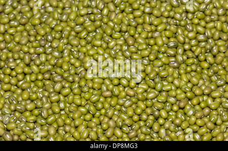 Mung Bohnen. Stockfoto