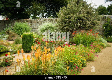 Kniphofia im Vordergrund Staudenrabatten innerhalb der ummauerten Garten La Seigneurie auf Sark UK Stockfoto